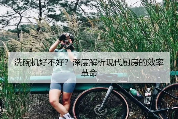 洗碗机好不好？深度解析现代厨房的效率革命